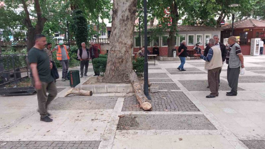 Kestiği Dalı Ayağıyla İterken Düşen İşçi Ağır Yaralandı