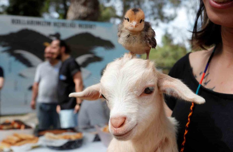 Antalya Doğal Yaşam Parkı’nda Annesiz Misafirlere Anneler Günü Kutlaması