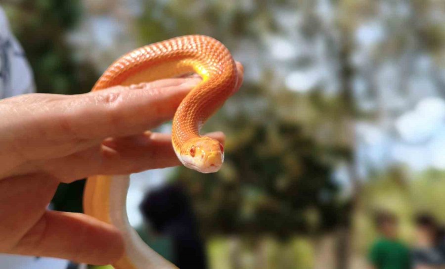 Antalya Doğal Yaşam Parkı’nda Annesiz Misafirlere Anneler Günü Kutlaması