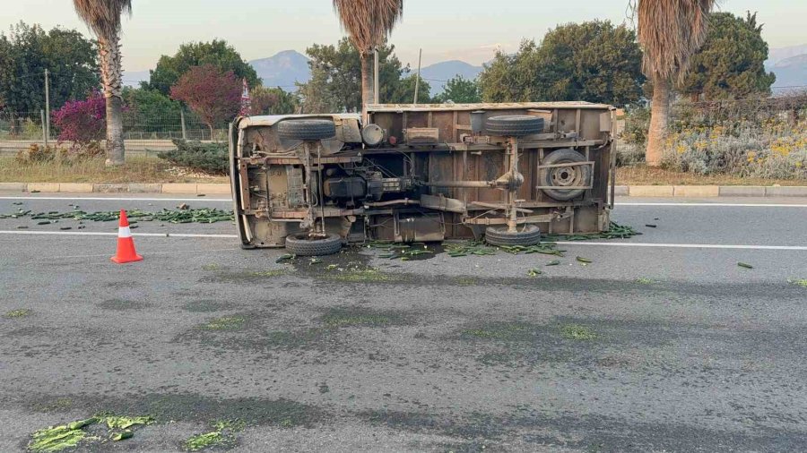 Salatalık Yüklü Kamyonet Devrildi: Salatalıklar Yola Savruldu