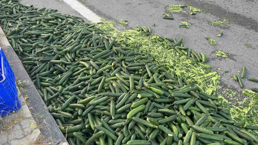 Salatalık Yüklü Kamyonet Devrildi: Salatalıklar Yola Savruldu