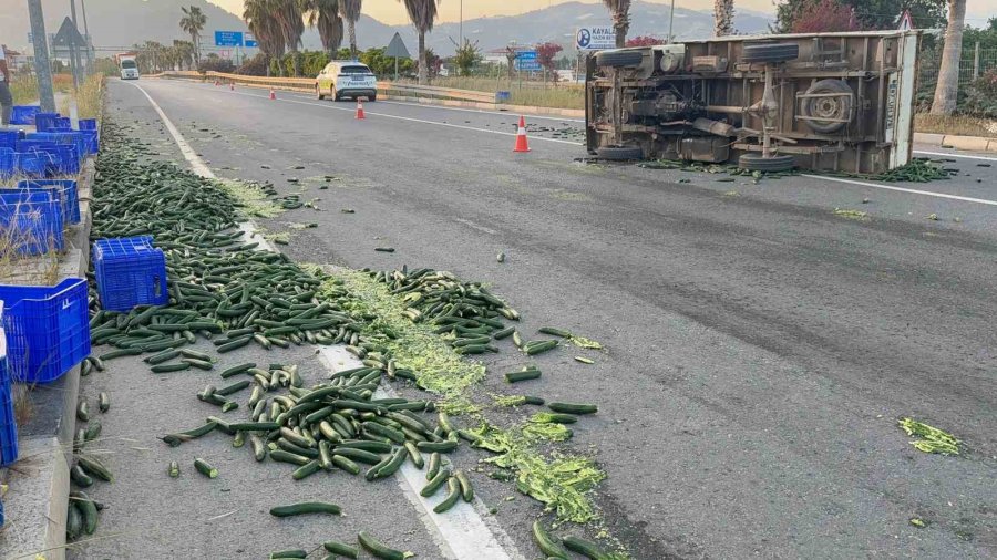 Salatalık Yüklü Kamyonet Devrildi: Salatalıklar Yola Savruldu