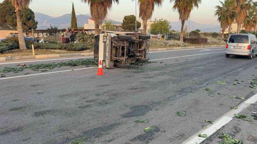Salatalık Yüklü Kamyonet Devrildi: Salatalıklar Yola Savruldu