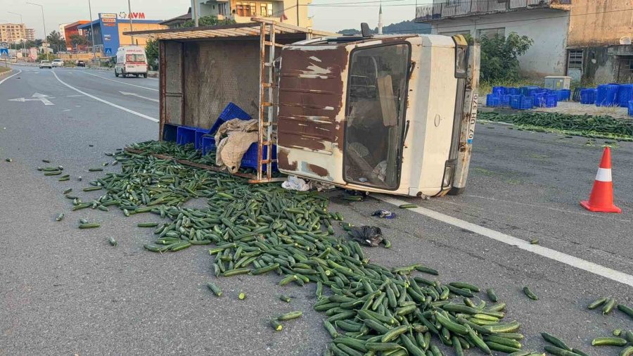 Salatalık Yüklü Kamyonet Devrildi: Salatalıklar Yola Savruldu