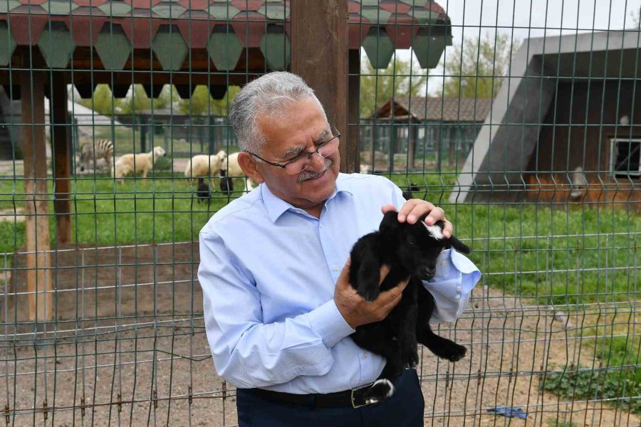 Başkan Büyükkılıç, Hayvanat Bahçesini Ziyaret Etti