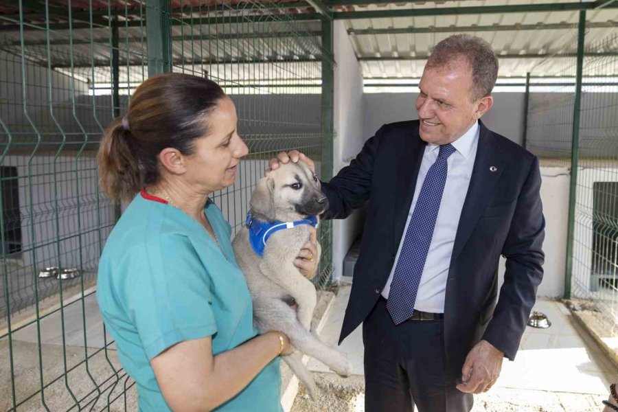 Mersin’de ’patiköy Doğal Yaşam Alanı’ Hizmete Açıldı