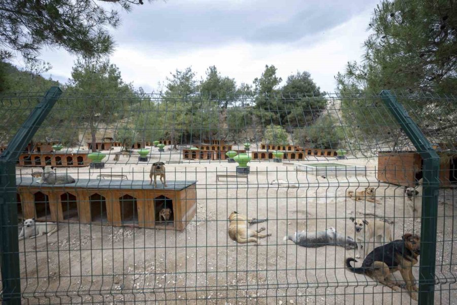 Mersin’de ’patiköy Doğal Yaşam Alanı’ Hizmete Açıldı