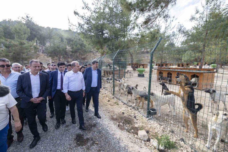 Mersin’de ’patiköy Doğal Yaşam Alanı’ Hizmete Açıldı