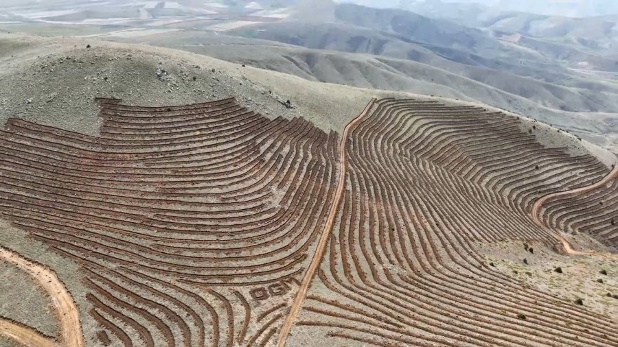 Niğde’nin Himmetli Köyü’nde 100 Hektarlık Alanda Ağaçlandırma Yapılacak