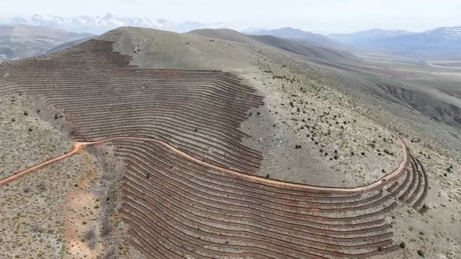 Niğde’nin Himmetli Köyü’nde 100 Hektarlık Alanda Ağaçlandırma Yapılacak