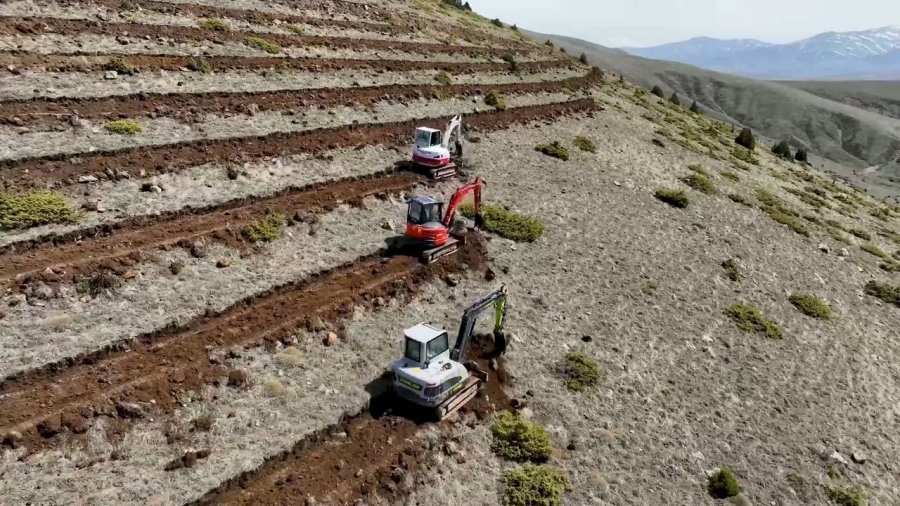 Niğde’nin Himmetli Köyü’nde 100 Hektarlık Alanda Ağaçlandırma Yapılacak