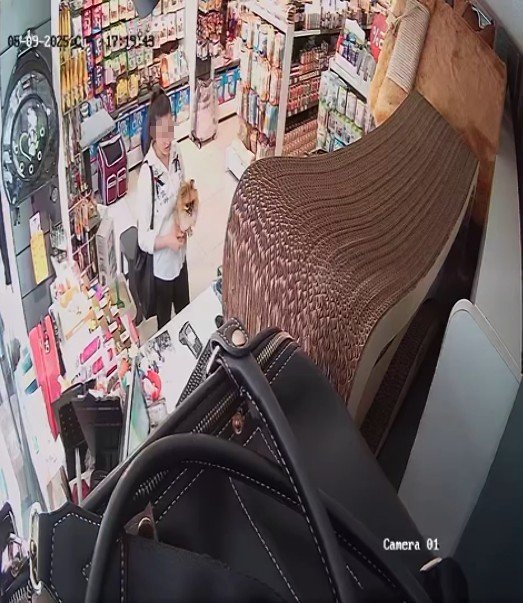 Güzellik Yarışmasında Birinci Seçilen Köpek Bir Hafta Sonra Ortadan Kayboldu