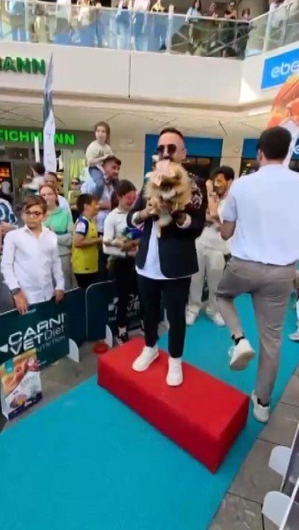 Güzellik Yarışmasında Birinci Seçilen Köpek Bir Hafta Sonra Ortadan Kayboldu