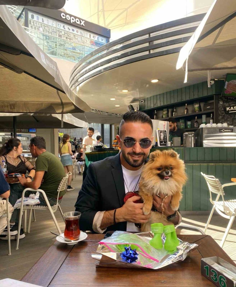 Güzellik Yarışmasında Birinci Seçilen Köpek Bir Hafta Sonra Ortadan Kayboldu