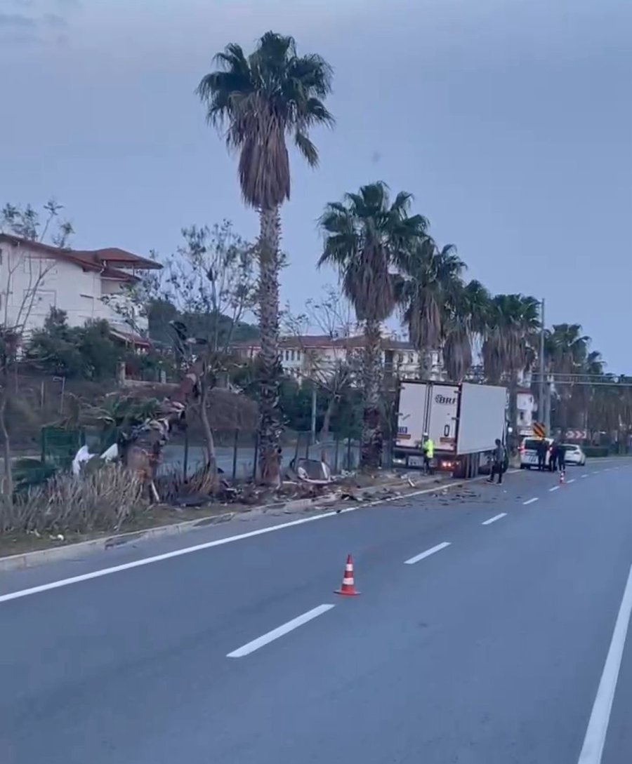 Gazipaşa’da Sebze Yüklü Tır Refüjdeki Palmiye Ağacına Çarptı: 1 Yaralı