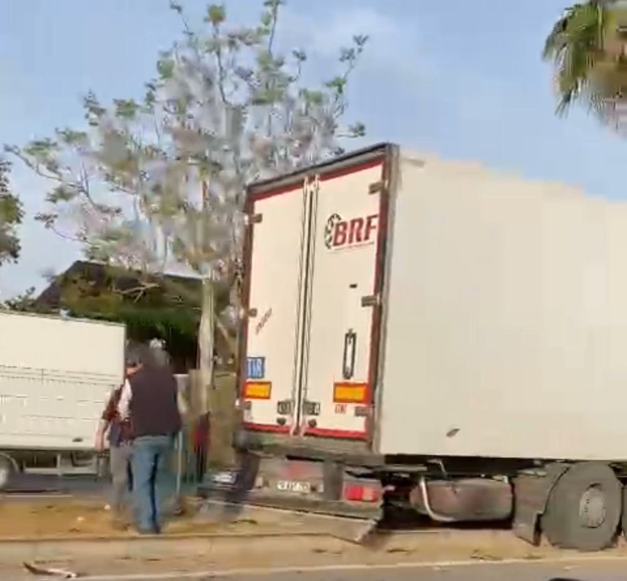 Gazipaşa’da Sebze Yüklü Tır Refüjdeki Palmiye Ağacına Çarptı: 1 Yaralı