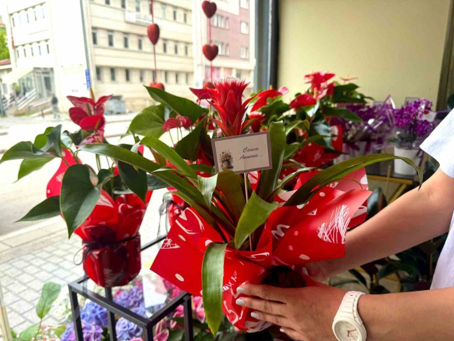 Anneler Günü’nde En Çok Saksı Çiçekleri Talep Görüyor