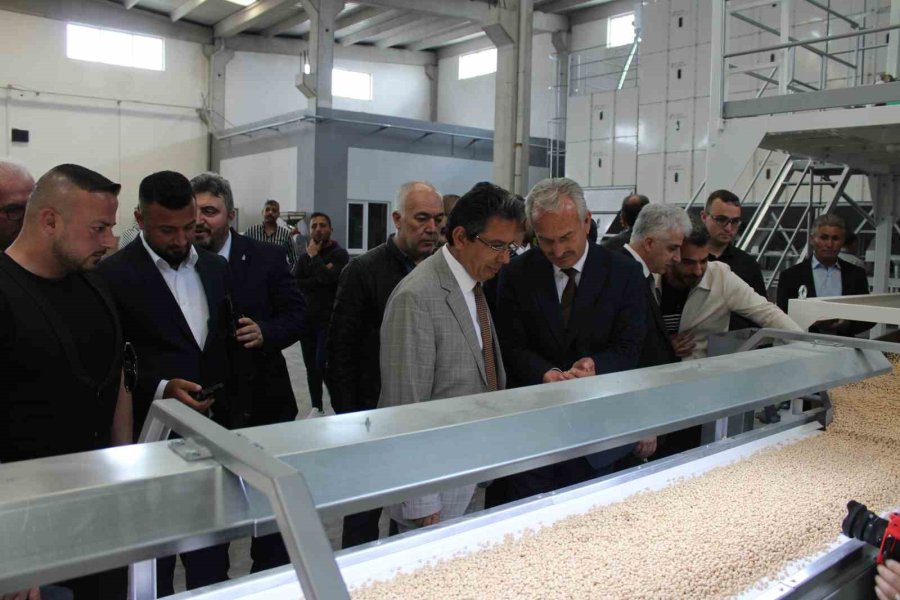 Kadim Bakliyat, Günlük 300 Ton İşleme, 50 Ton Paketleme Yapılacak Tesisini Açtı