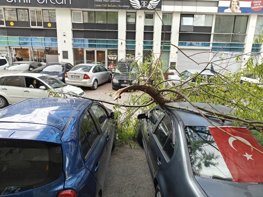 Rüzgarda Kırılan Ağaç Dalı Otomobillerin Üzerine Düştü