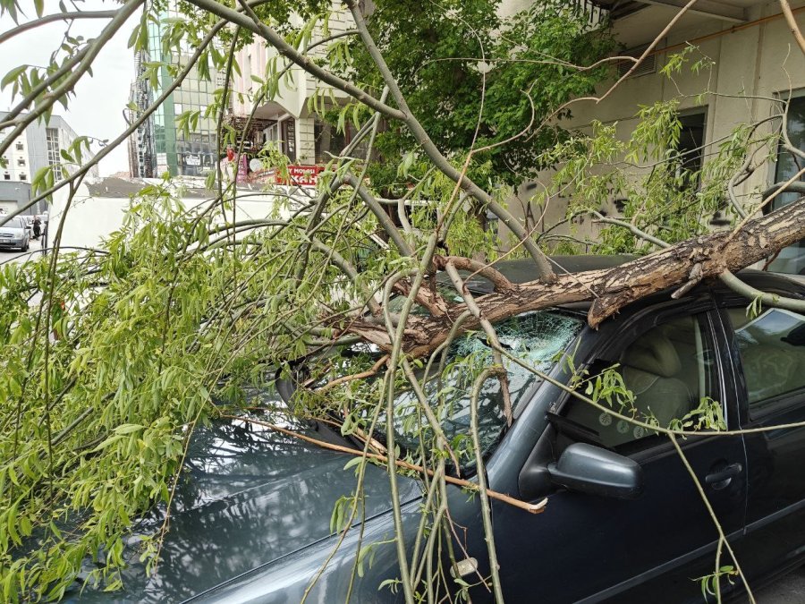 Rüzgarda Kırılan Ağaç Dalı Otomobillerin Üzerine Düştü