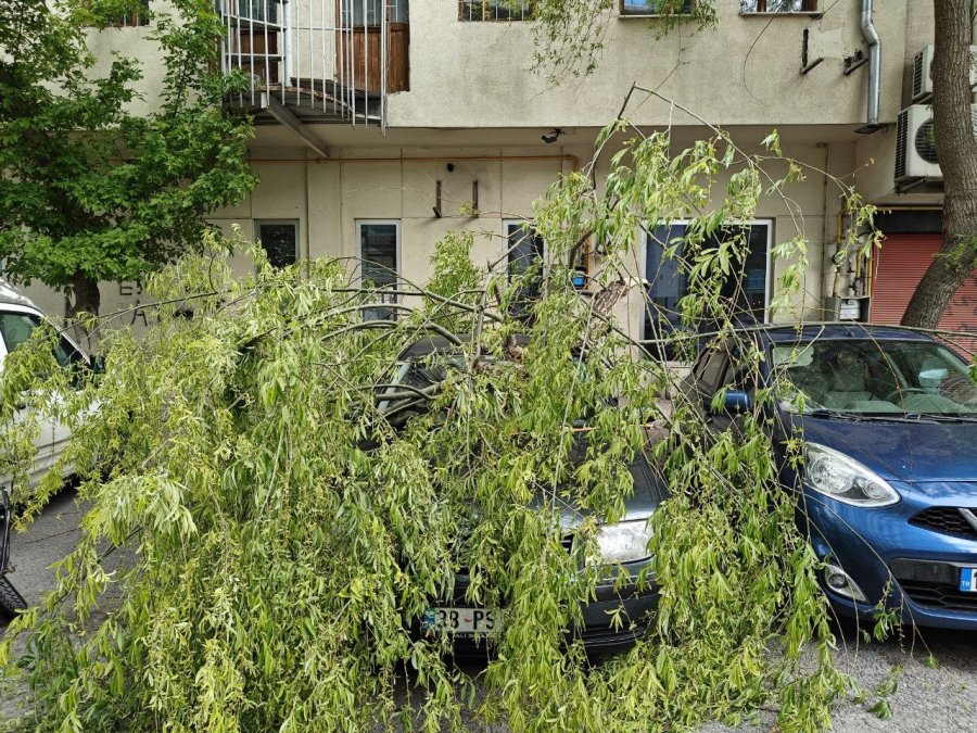 Rüzgarda Kırılan Ağaç Dalı Otomobillerin Üzerine Düştü