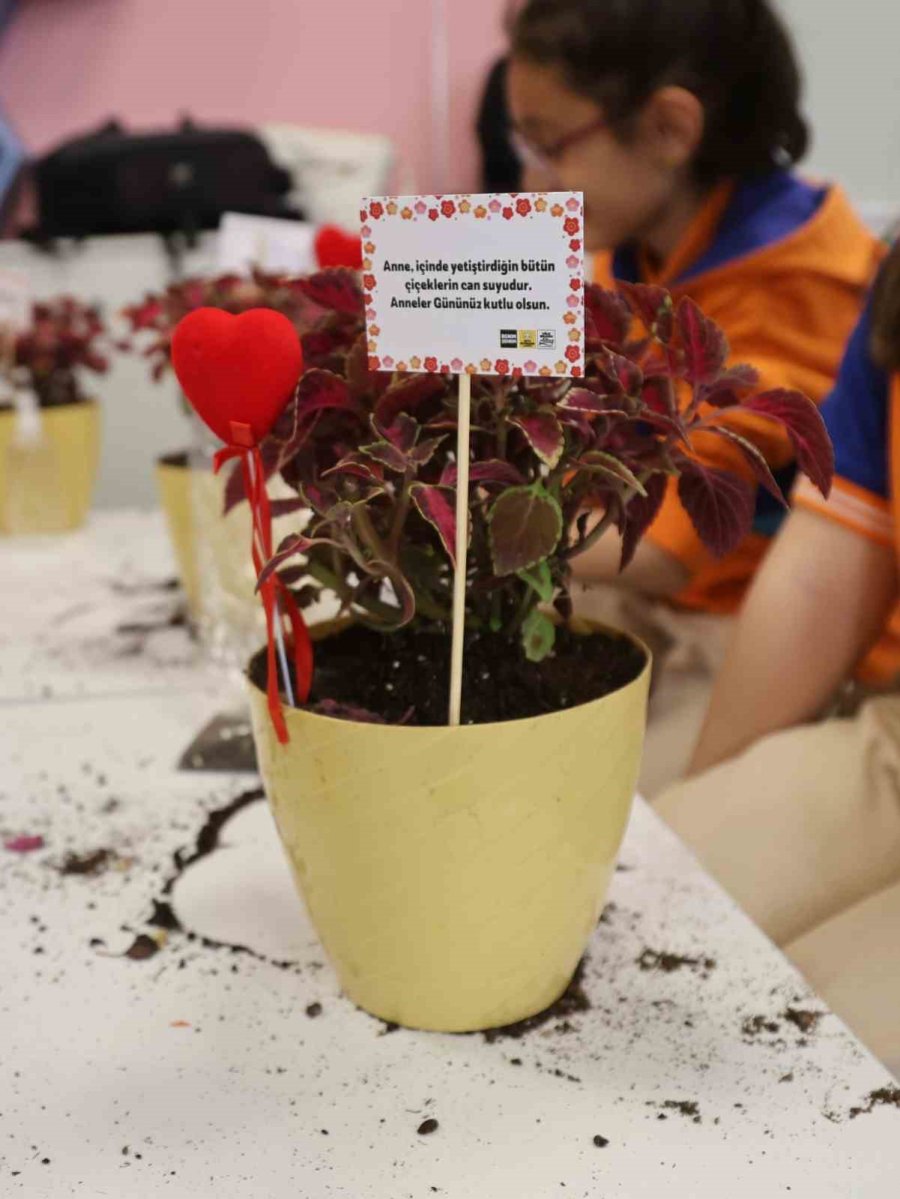 Büyükşehir’in "yerli Tohum Milli Tarım" Projesinde "en Güzel Çiçek Benim Annem" Etkinliği