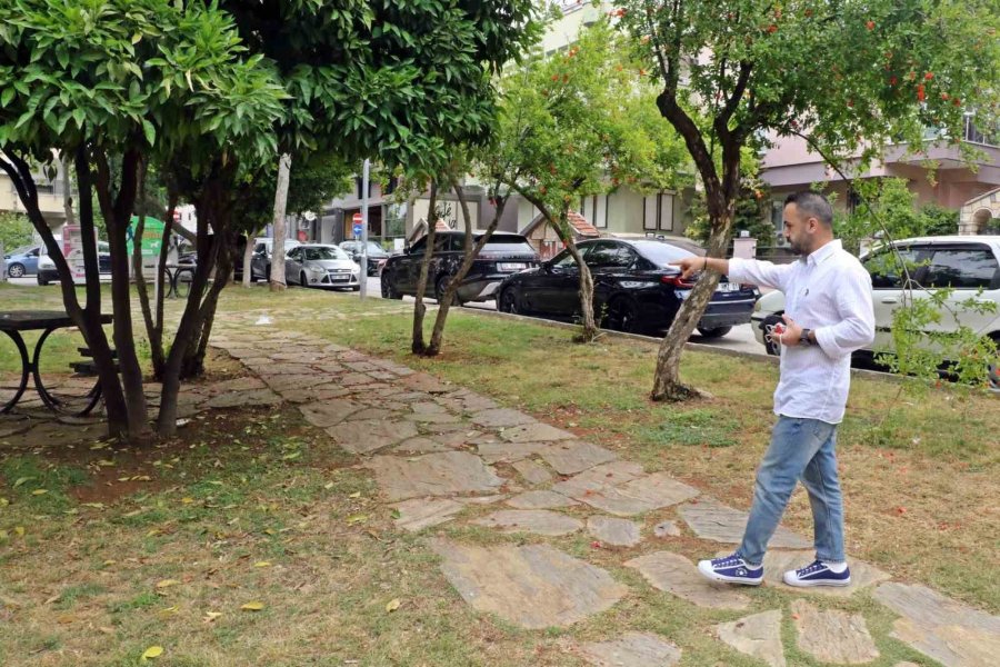 Güzellik Yarışmasında Birinci Seçilen Köpek Bir Hafta Sonra Ortadan Kayboldu