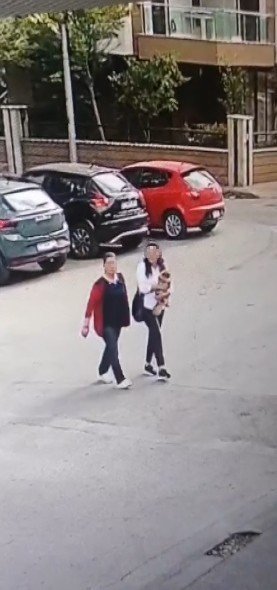 Güzellik Yarışmasında Birinci Seçilen Köpek Bir Hafta Sonra Ortadan Kayboldu