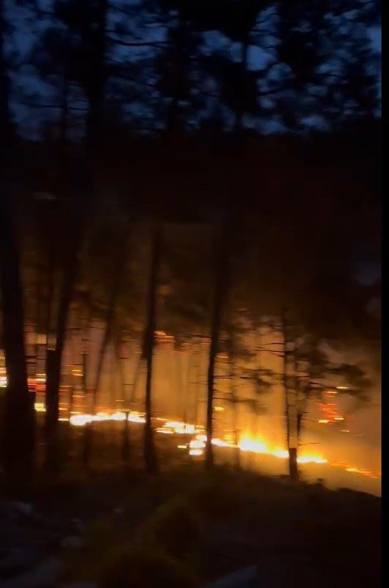 Tarsus’ta Orman Yangını