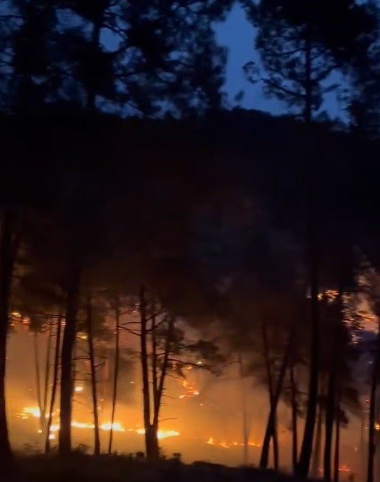 Tarsus’ta Orman Yangını