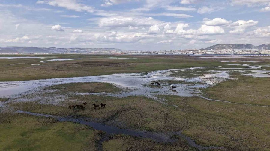 Başkan Büyükkılıç: "hürmetçi Sazlığı’nda Yatırımlar İle Yeni Bir Dönem Başladı"