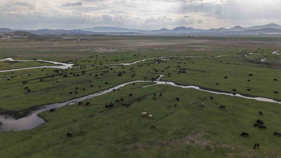Başkan Büyükkılıç: "hürmetçi Sazlığı’nda Yatırımlar İle Yeni Bir Dönem Başladı"