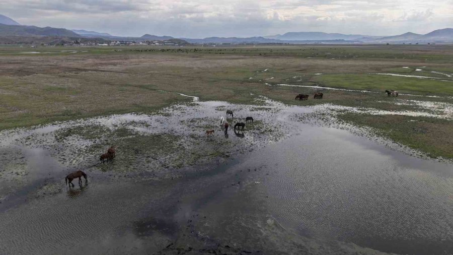 Başkan Büyükkılıç: "hürmetçi Sazlığı’nda Yatırımlar İle Yeni Bir Dönem Başladı"