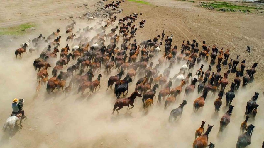 Başkan Büyükkılıç: "hürmetçi Sazlığı’nda Yatırımlar İle Yeni Bir Dönem Başladı"