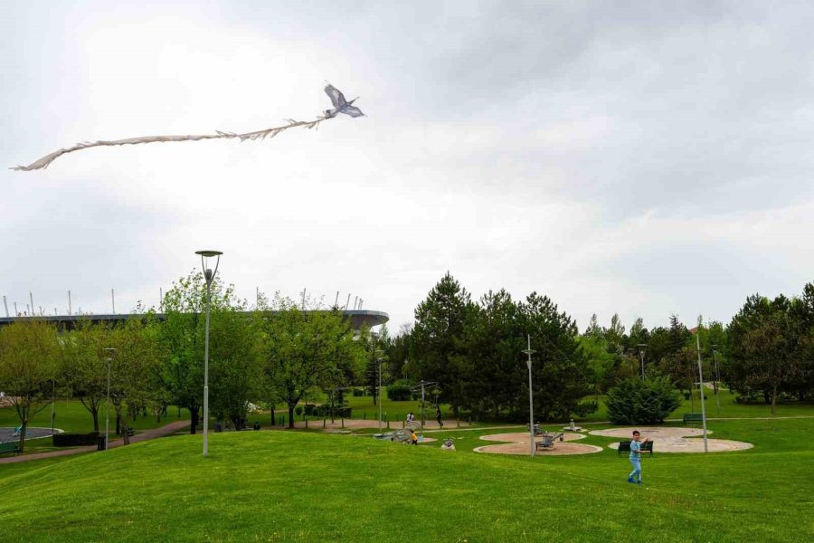 Dünya Göçmen Kuşlar Günü Etkinliğinde Gökyüzü Uçurtmalarla Renklendi