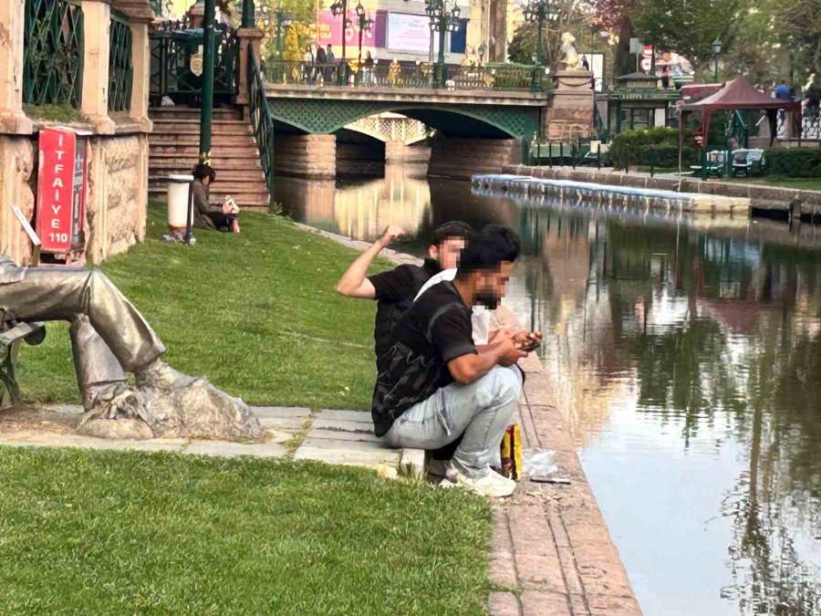 Eskişehir’de Trajikomik Kare: ’çekirdek Çitleyen Eşek’in Önünde Çekirdek Çitlediler