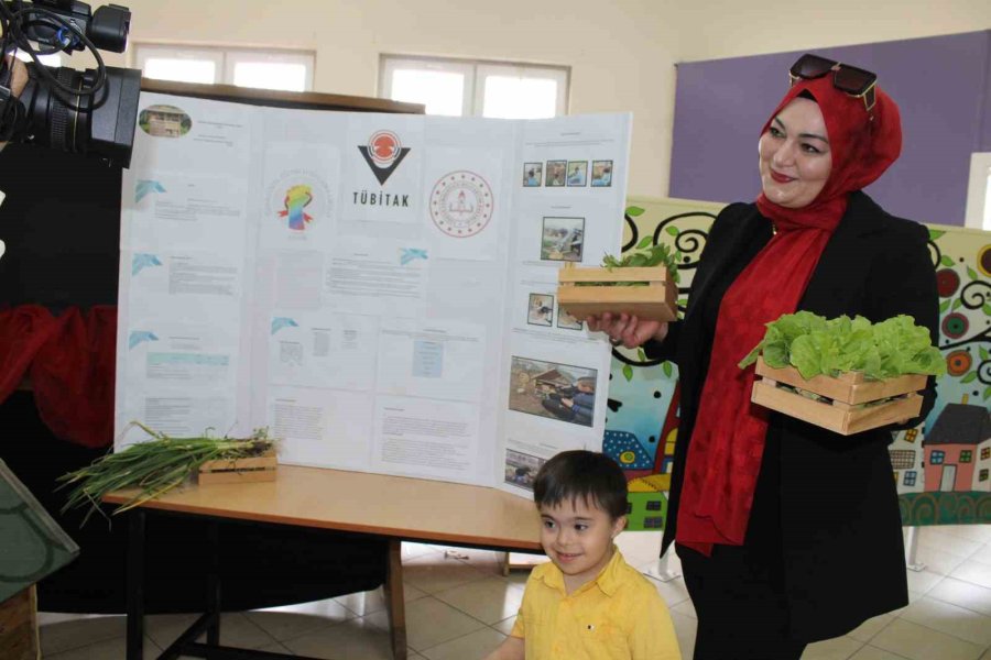 Böcek Oteli’nde Kaliteli Sebzeler