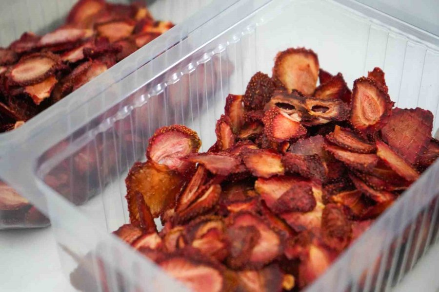 Tarsus’ta Meyve Ve Sebze Paketleme Tesisi Hizmete Girdi