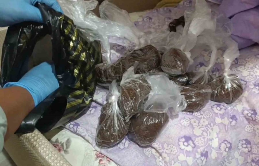 Önce Kokladı, Sonra Patisiyle Uyuşturucuyu İşaret Etti