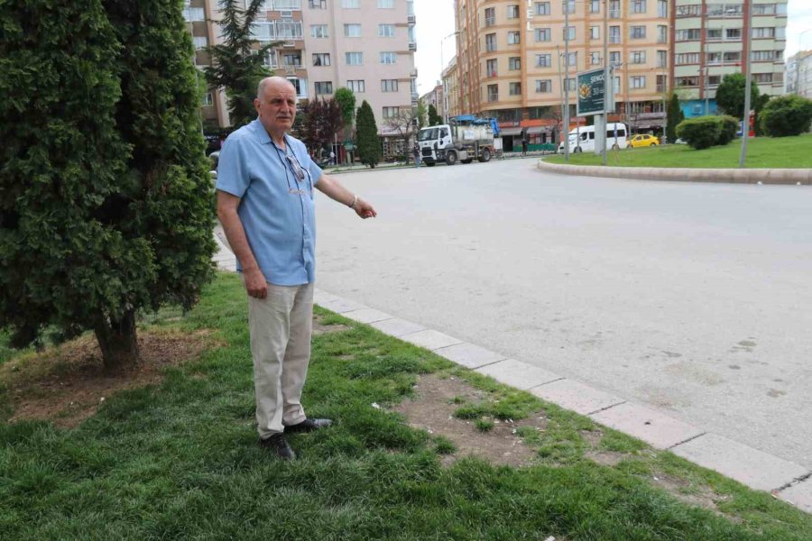 Kedisini Veterinere Yetiştirmeye Çalışırken Trafik Cezası Yedi, İtiraz Etti