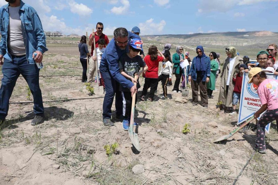 Başkan Çolakbayrakdar: "iklim Değişikliğiyle Mücadelenin En Etkili Yolu Ağaç Dikmektir"
