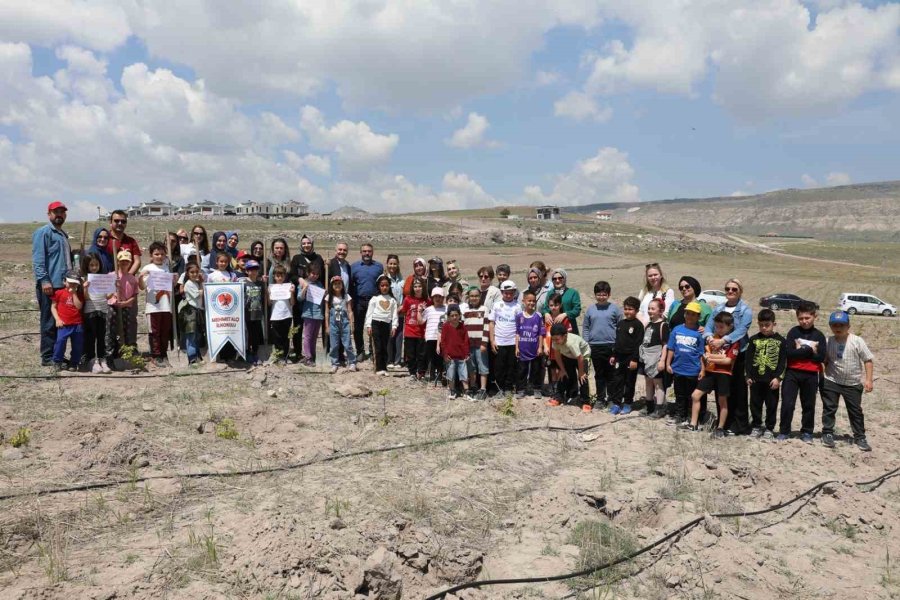 Başkan Çolakbayrakdar: "iklim Değişikliğiyle Mücadelenin En Etkili Yolu Ağaç Dikmektir"