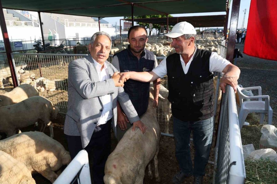 Talas’ta Kurban Pazarına Başvurular Başladı