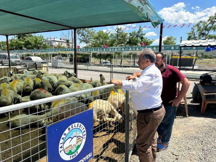 Talas’ta Kurban Pazarına Başvurular Başladı