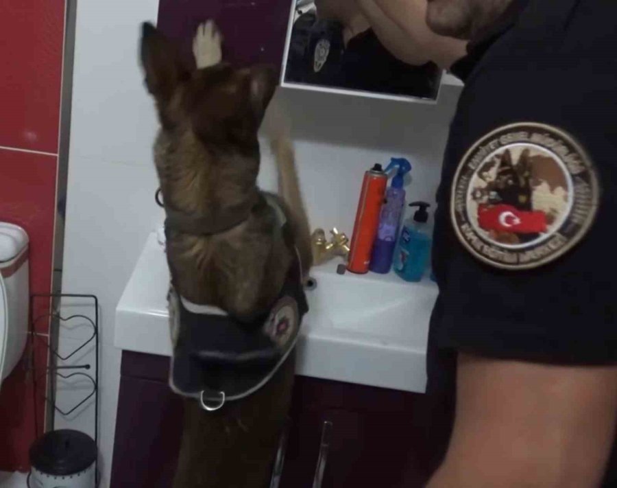 Telefon Ve Uyuşturucu Kaçakçısı Telefoncu Tutuklandı