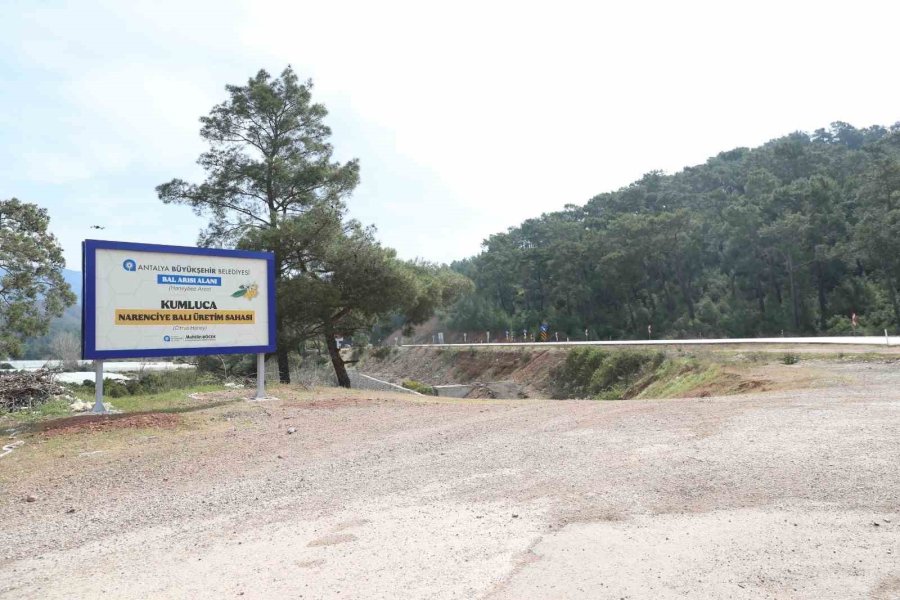 Antalya’da Narenciye Balı İçin Coğrafi İşaret Tescil Çalışması