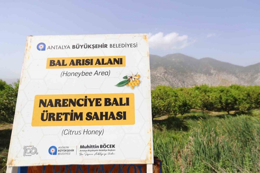 Antalya’da Narenciye Balı İçin Coğrafi İşaret Tescil Çalışması