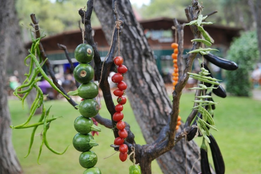Konyaaltı Belediyesi Çiftçiler Günü’nde ’üretici Pazarı’ Kurdu