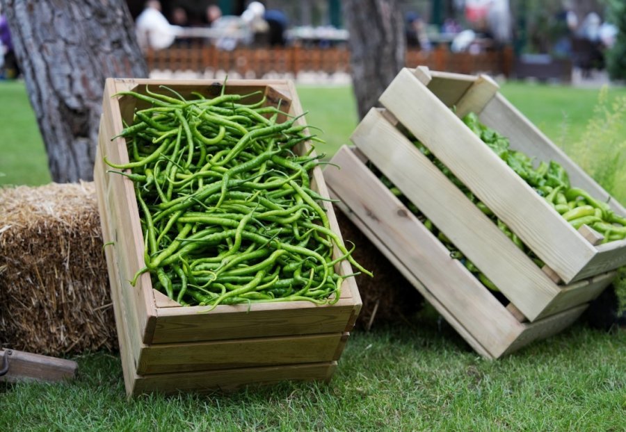 Konyaaltı Belediyesi Çiftçiler Günü’nde ’üretici Pazarı’ Kurdu