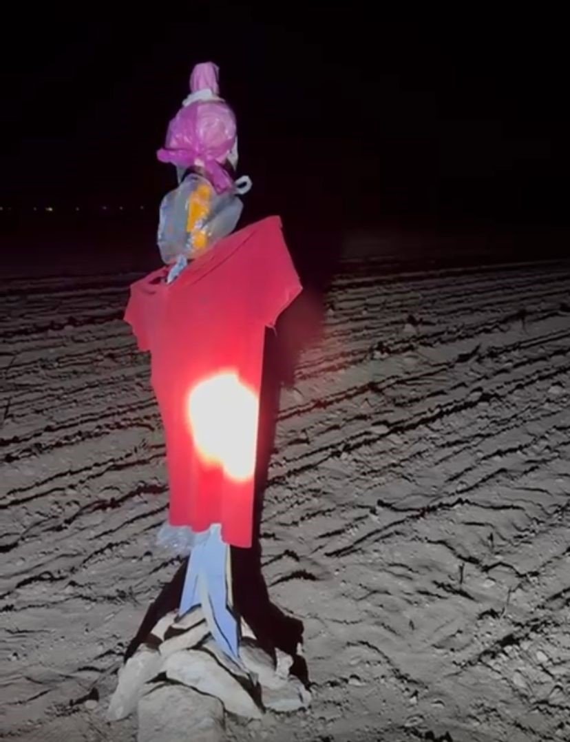 Konya’da Tarım Alanlarında Domuz Nöbeti